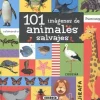 101 IMÁGENES DE ANIMALES SALVAJES