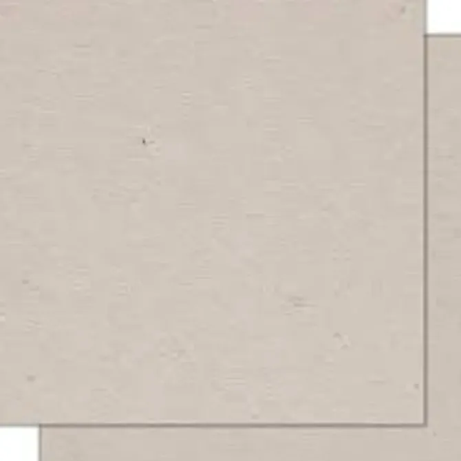 ALCES CARTON GRIS ALCES 22,5 DECIM. 75X105 501037 MAK625007