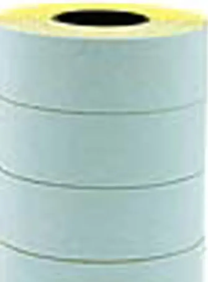 APLI ETIQUETA MAQUINA APLI 26X16 6U PERMAN 100917 MAK035278