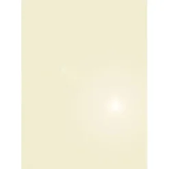 APLI PAPEL APLI A4 METALIZ.CHAMP.130G 10H 11973 MAK002247