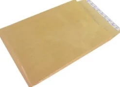 ARPON 250 BOLSAS FUELLE EN V 229X324X30MM 120GR KRAFT AUTODEX 51991 01991V