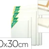 BASTIDOR ARTIST LIENZO GRAPADO TRASERO ALGODON 100% 10X30 CM