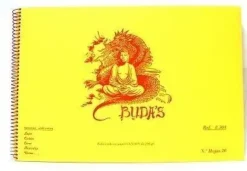 BLOC BUDAS PAPEL CANSON 200GR CON HOJA PROTECTORA DE SEDA PARA LAPIZ CARBON CERA ACUARELA PASTEL