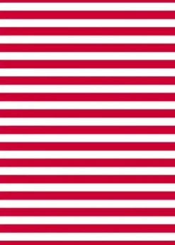 BOLSA CARNAVAL PP 65X90CM G/250 RAYAS ROJI BLANCA BASURA ESPECIAL DISFRAZ 00072104