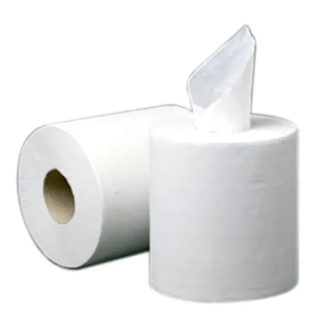 BUNZL BOBINAS SECAMANOS RECICL.2H 150M /6RL 17483 MAK749370