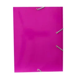 CAMPUS CARPETA CAMPUS CARTON Fº G/S BRI.ROSA 8313-PK MAK180876