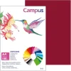 CAMPUS CARTULINA CAMPUS A4 180G GRANATE 0019738 MAK220424