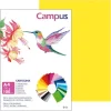 CAMPUS CARTULINA CAMPUS A4 180G A.CANARANARIO 601391 MAK220143