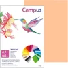 CAMPUS CARTULINA CAMPUS A4 180G CARNE BOARD CARN MAK220572