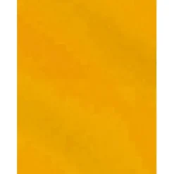 CAMPUS CARTULINA CAMPUS 50X65 METAL 202 ORO MAK630399