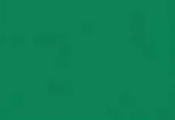 CAMPUS CARTULINA COLOR 50X65 V.MUSGO 00130109 MAK655139