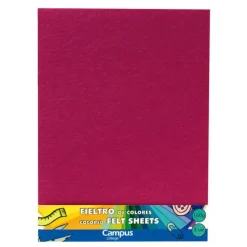 CAMPUS FIELTRO CAMPUS 23X30,5 160G R.OSC/3UD 8085071503DPK MAK630694