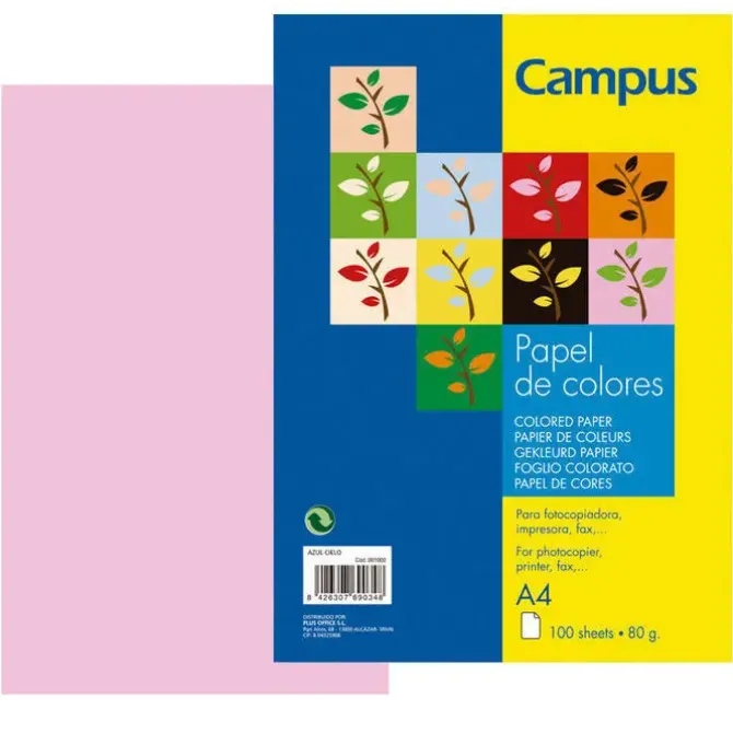 CAMPUS PAPEL CAMPUS A4 80GR 100H ROSA IT170 A4/100 MAK002044