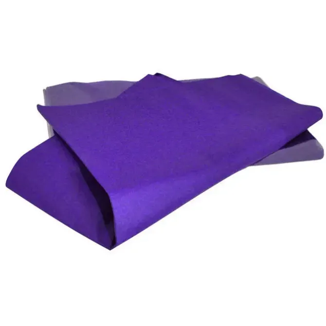 CAMPUS SEDA CAMPUS VIOLETA /RESMA 500H 600173 MAK600173