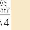 CANSON GUARRO PACK DE 50 CARTULINAS IRIS A4 DE 185G - 21X29.7CM - COLOR CASCARA HUEVO