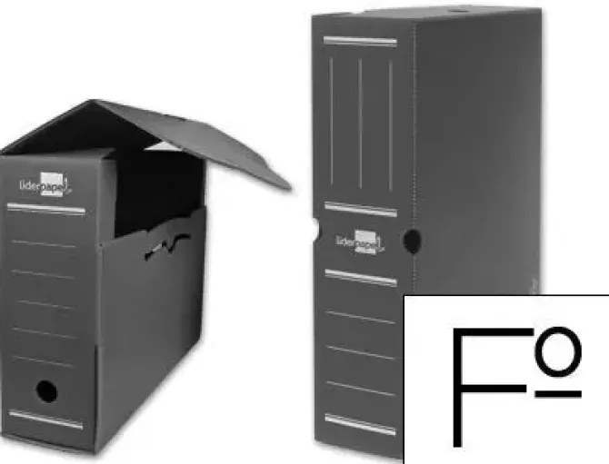 CARCHIDEA ARCHIVO DEFINITIVO Fº PROL. PP GRIS 6035C GRIS MAK209349