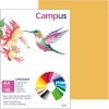 CARTULINA CAMPUS A4 180G COLOR CUERO