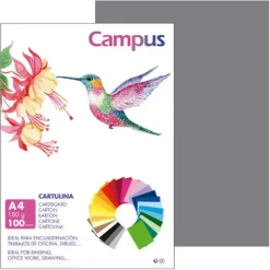 CARTULINA CAMPUS A4 180G GRIS OSCURO