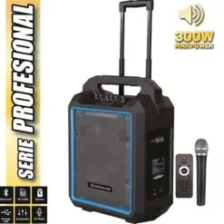 COOLSOUND PRO 300 ALTAVOZ AUTOAMPLIFICADO BLUETOOTH 300W 10 80W RMS CON BATERIA - USB, SD, ENTRADA MIC. JACK 6.3MM - 1 MICROFONO SERIE PRO COOL - AUTONOMIA HASTA 4H - ASA Y RUEDAS DE TRANSPORTE - MAND