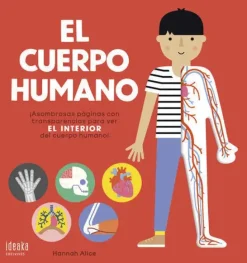 EL CUERPO HUMANO