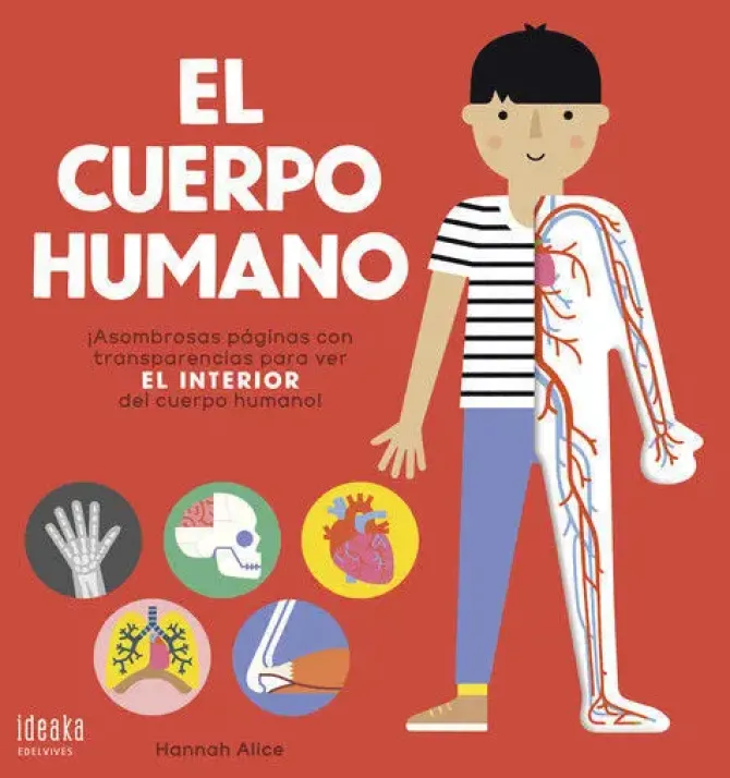 EL CUERPO HUMANO