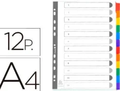 EXACLAIR SEPARADORES EXACOMPTA A4 CART.12PEST 2312E MAK180830