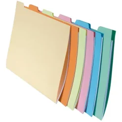 EXACLAIR SUBCARPETA EXACOMPTA A4 240G SURT/60U 337000E MAK180825