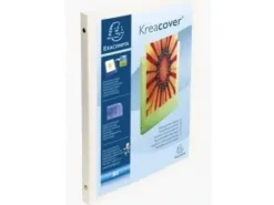 EXACOMPTA CARPETA DE 4 ANILLAS ANCHO DE LOMO 15 MM PP.FORMATO A4.COLOR BLANCO.REFERENCIA 51189E