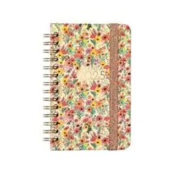 FINOCAM AGENDA ANUAL 2025 YOU E3 SV SPRING