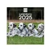 FINOCAM CALENDARIO 2025 PARED 30X30 CACHORROS