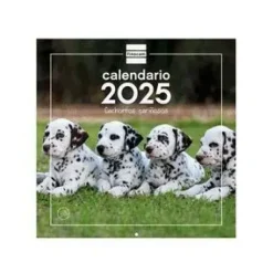 FINOCAM CALENDARIO 2025 PARED 30X30 CACHORROS