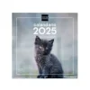 FINOCAM CALENDARIO 2025 PARED 30X30 GATITOS