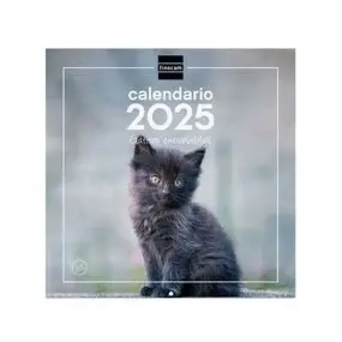 FINOCAM CALENDARIO 2025 PARED 30X30 GATITOS