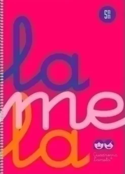 LAMELA CUADERNO TAPA PLASTICO FOLIO ROSA 80 HOJAS 5MM CUADROVIA POLIPROPILENO 7FTP005R