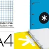 LIDERPAPEL CARPEBLOCK ANTARTIK DIN A4 80 HOJAS 100 GRAMOS CUADRICULA 5 MM ANILLA 40MM TAPA FORRADA CS64667