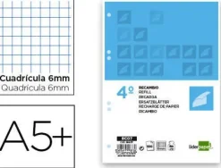 LIDERPAPEL RECAMBIO 4º CUARTO 4 Y 6 TALADROS 100 HOJAS CUADRICULA 6 MM CON MARGEN RC10 CS29677