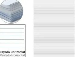 PAPEL BARBA 10 HOJAS DOBLADAS HOJAS CUADRICULA 4X4MM 90 GRAMOS 32X45 CM TIPO GUARRO