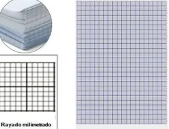PAPEL BARBA 10 HOJAS DOBLADAS HOJAS MILIMETRADO 90 GRAMOS 32X45 CM TIPO GUARRO