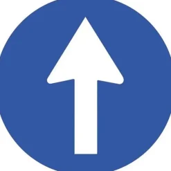 PICTOGRAMA SYS SENTIDO OBLIGATORIO