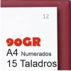 RECAMBIO 100 HOJAS NUMERADAS 15 TALADROS 1-100 PARA ACTAS MOVILES 4 AGUJEROS A4 90GR MIQUELRIUS