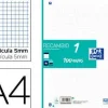 RECAMBIO COLOR OXFORD DIN A4 100 HOJAS 90 GR CUADRO 5 MM 4 TALADROS LIMA