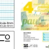 RECAMBIO LIDERPAPEL A4 PAUTAGUIA 100 HOJAS 75 G CUADRICULADO PAUTADO 4 MM CON MARGEN 4 TALADROS
