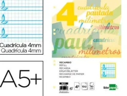 RECAMBIO LIDERPAPEL CUARTO PAUTAGUIA 100 HOJAS 75 G CUADRICULADO PAUTADO 4 MM CON MARGEN 6 TALADROS