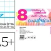 RECAMBIO LIDERPAPEL CUARTO PAUTAGUIA 100 HOJAS 70 G CUADRICULADO PAUTADO 8 MM CON MARGEN 2 TALADROS APAISADO