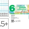 RECAMBIO LIDERPAPEL CUARTO PAUTAGUIA 100 HOJAS 70 G CUADRICULADO PAUTADO 6 MM CON MARGEN 2 TALADROS APAISADO