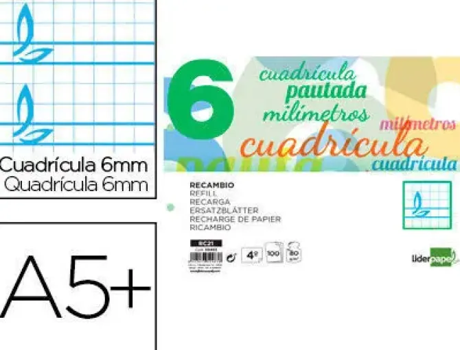 RECAMBIO LIDERPAPEL CUARTO PAUTAGUIA 100 HOJAS 70 G CUADRICULADO PAUTADO 6 MM CON MARGEN 2 TALADROS APAISADO