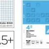 RECAMBIO LIDERPAPEL CUARTO 100 HOJAS 60G/M2 CUADRO 4MM CON MARGEN 6 TALADROS