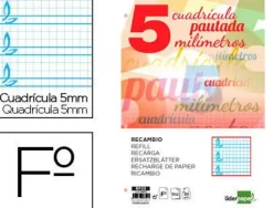 RECAMBIO LIDERPAPEL FOLIO PAUTAGUIA 100 HOJAS 75 G CUADRICULADO PAUTADO 5 MM CON MARGEN 4 TALADROS