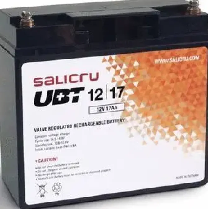 SALICRU UBT 12/17 BATERIA AGM RECARGABLE DE 17 AH / 12 V