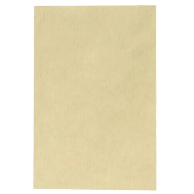 SOBRE BOLSA 100X145 SALAR KRAFT